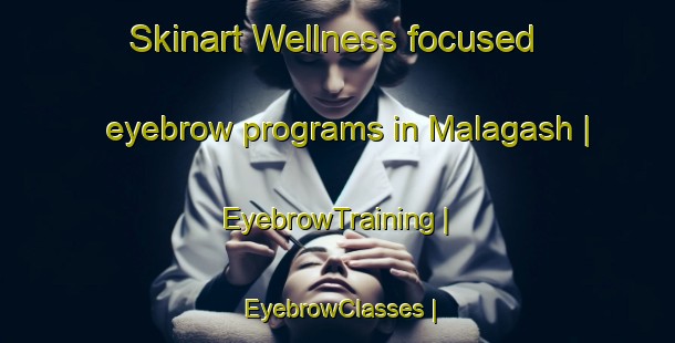 Skinart Wellness-focused eyebrow programs in Malagash | EyebrowTraining | EyebrowClasses | SkinartTraining-Canada